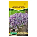 Алиссум морской Лавандовый шторм Евросемена № 1