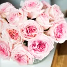 Роза чайно-гибридная премиум парфюм Пинк Охара № 2