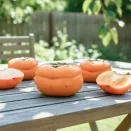 Хурма для сложного климата Тамопан большой № 1