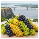 Сверхвыгода! Комплект неукрывного винограда "Сибирь и Дальний Восток" из 3 сортов № 1