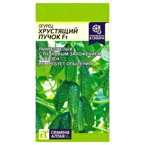 Огурец Хрустящий пучок F1 Семена Алтая