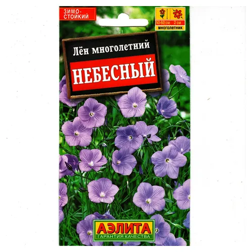 Лен многолетний Небесный Аэлита