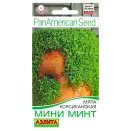 Мята корсиканская Мини Минт Аэлита № 1