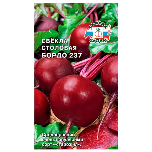 Свекла Бордо 237 Седек