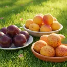 Сверхвыгода! Комплект "Экзотическая сладость" из 3 сортов № 1