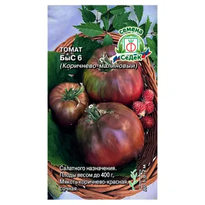 Томат БыС 6 коричнево-малиновый Седек