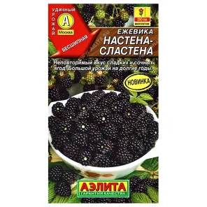 Ежевика Настена-сластена Аэлита