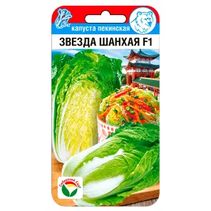 Капуста пекинская Звезда Шанхая Сибирский сад