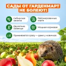 Мелисса лекарственная Жемчужина Аэлита № 2