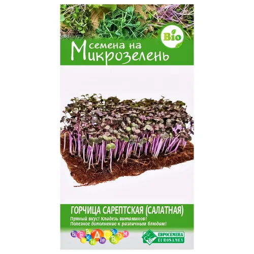 Микрозелень Горчица сарептская (салатная) Евросемена