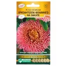 Астра китайская Хризантелла Фламинго на закате Евросемена № 1