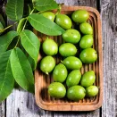 Фейхоа самоплодный Крымский ранний № 3