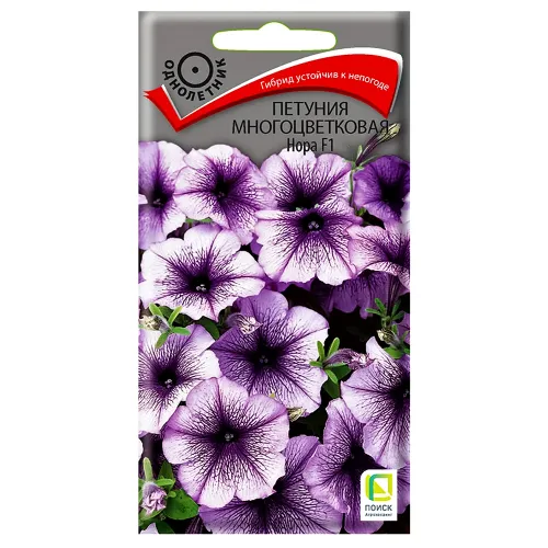 Петуния многоцветковая Нора F1 Поиск