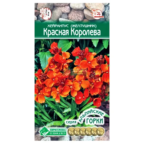 Хейрантус (желтушник) Красная королева Евросемена