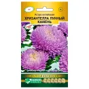 Астра китайская Хризантелла Лунный камень Евросемена № 1