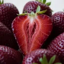 Земляника крупноплодная темная Бейхан, 5 саж. № 1