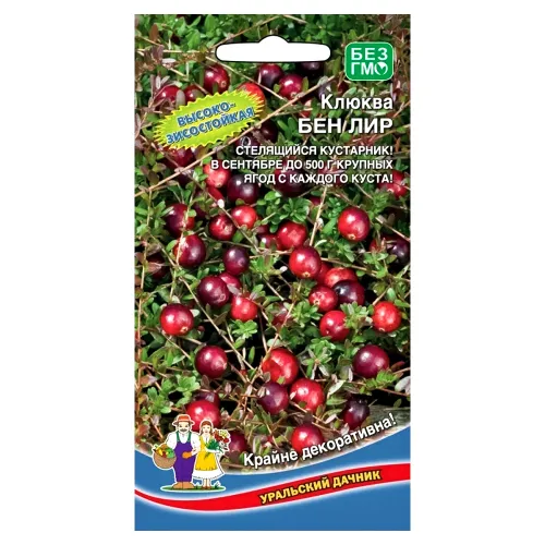 Клюква Бен Лир Уральский дачник
