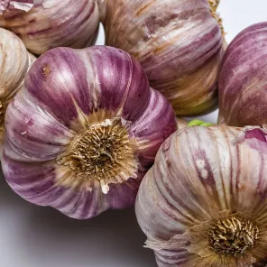 Чеснок озимый Добрыня 5 калибр (крупный)