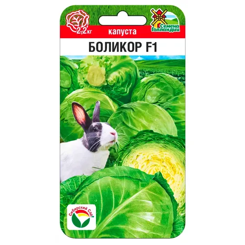 Капуста белокочанная Боликор F1 Сибирский сад