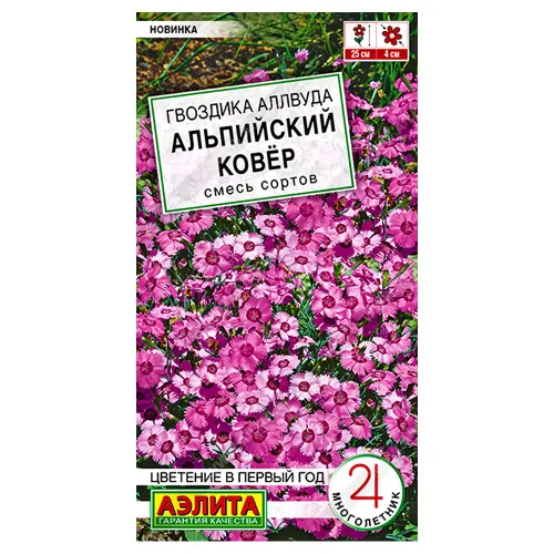 Гвоздика аллвуда Альпийский ковер, смесь сортов Аэлита