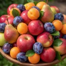 Сверхвыгода! Комплект плодовых деревьев "Сибирский сад" из 4 сортов № 1