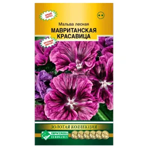 Мальва (шток-роза) Мавританская красавица Евросемена