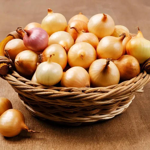 Лук-севок Штутгартен Ризен