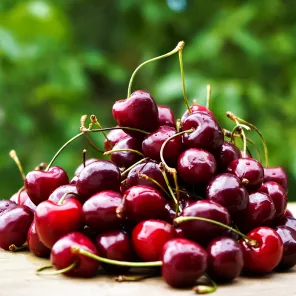 Черешня позднецветущая морозостойкая Гудзон