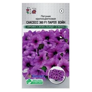 Петуния крупноцветковая Саксесс 360 F1 Парпл Вэйн Евросемена