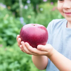 Яблоня болезнеустойчивая Голубая луна