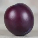 Нектаприум (гибрид нектарина и сливы) № 1